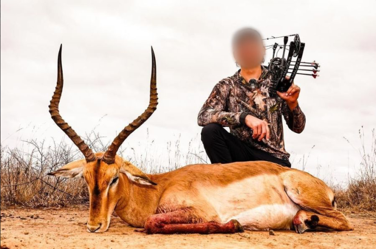 Screenshot 2025 03 24 at 16.23.41 768x509