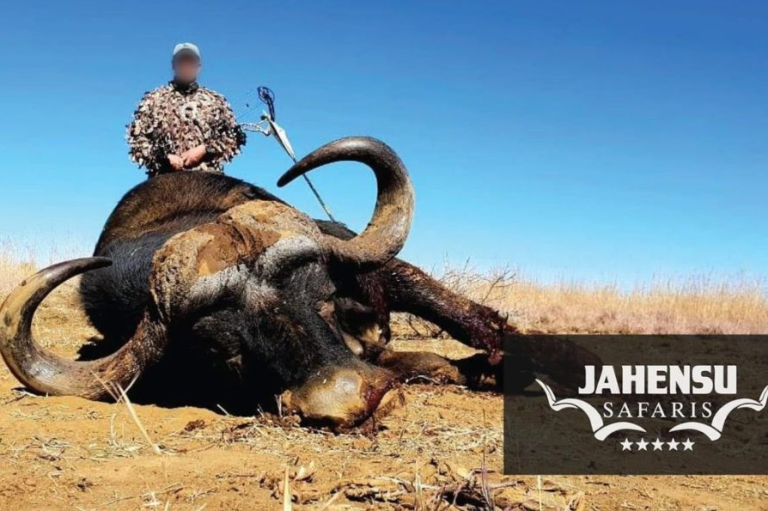 Screenshot 2025 03 24 at 16.24.02 768x511