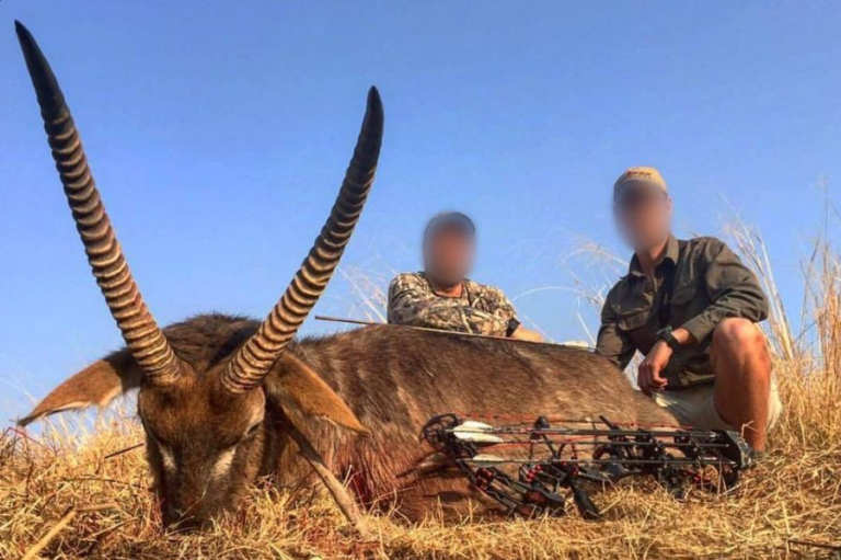 Screenshot 2025 03 24 at 16.24.55 768x511