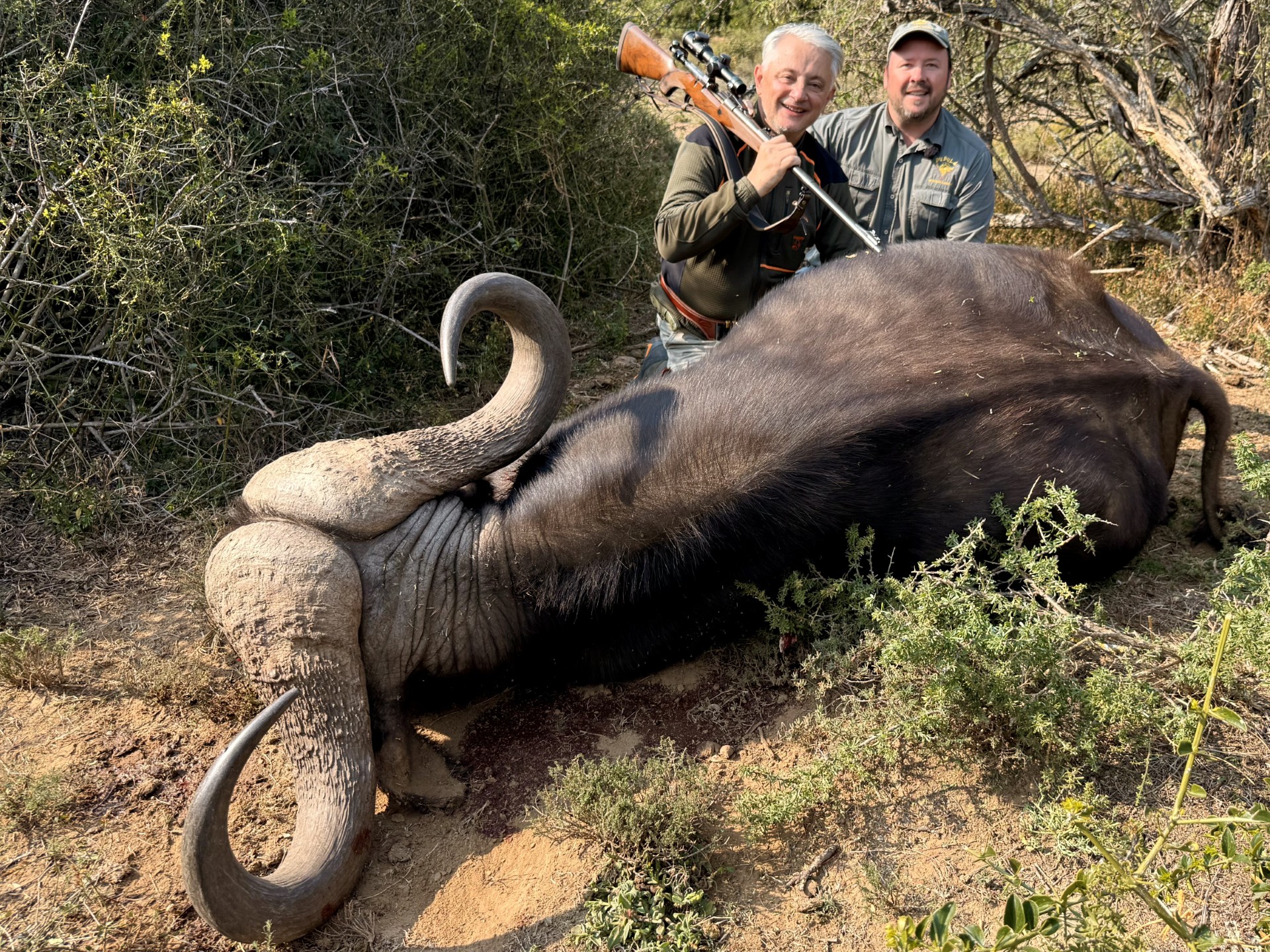 Alesadro cabella buffalo