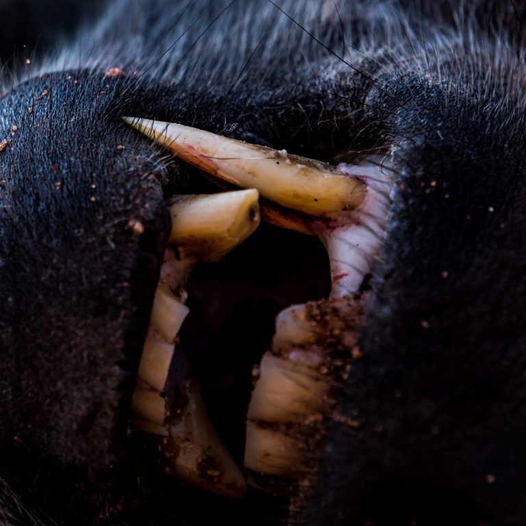 IMG 20190621 WA0088 768x768