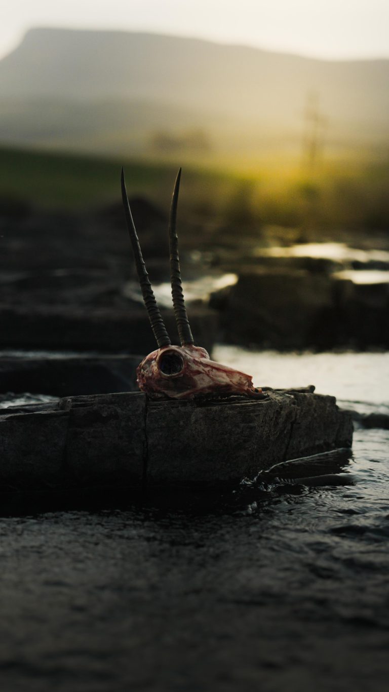 IMG 20241006 WA0084 768x1365