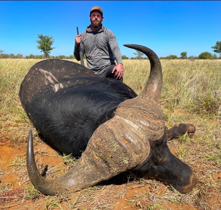 Screenshot 20241030 172035 Gallery 768x730