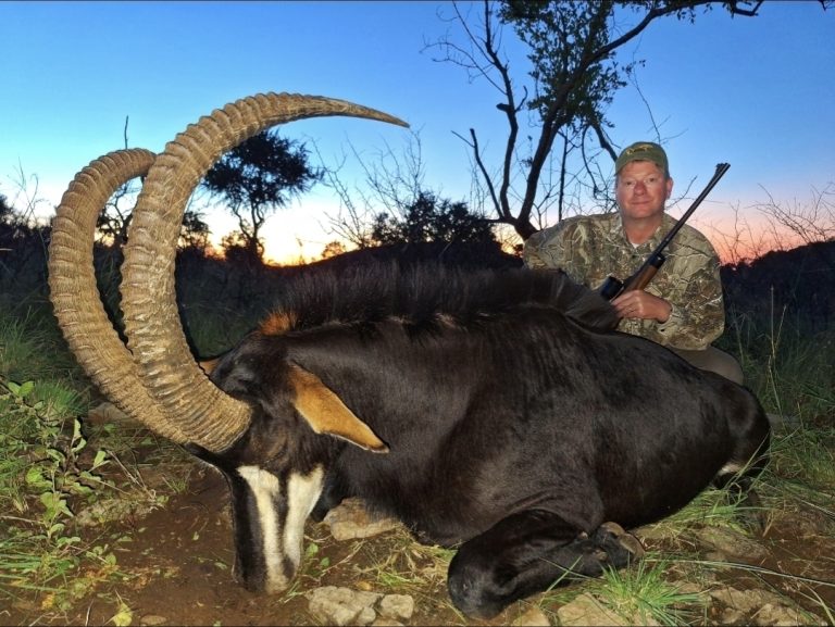 Screenshot 20250612 115006 Gallery 768x577