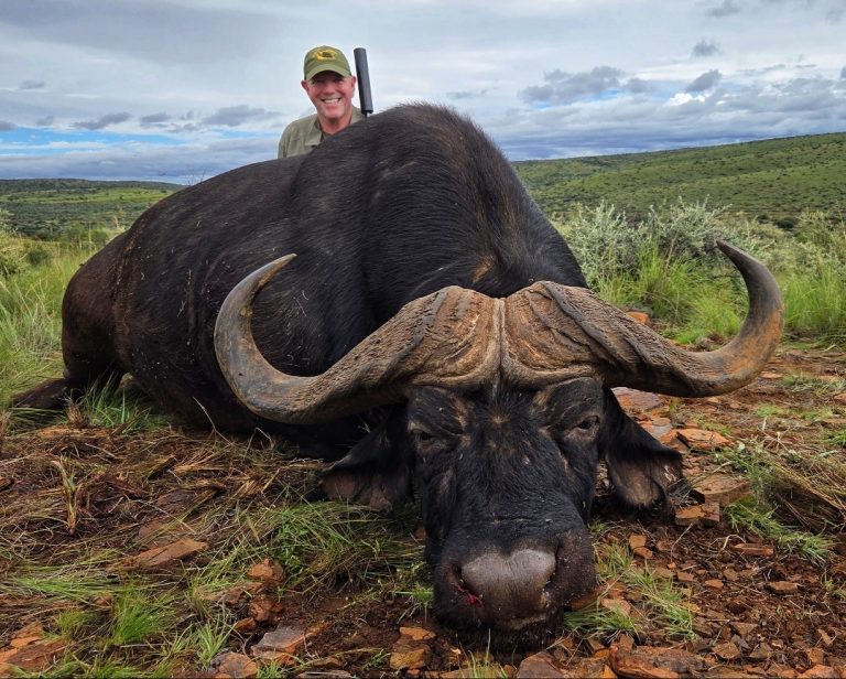 Screenshot 20250929 111015 Gallery 768x616