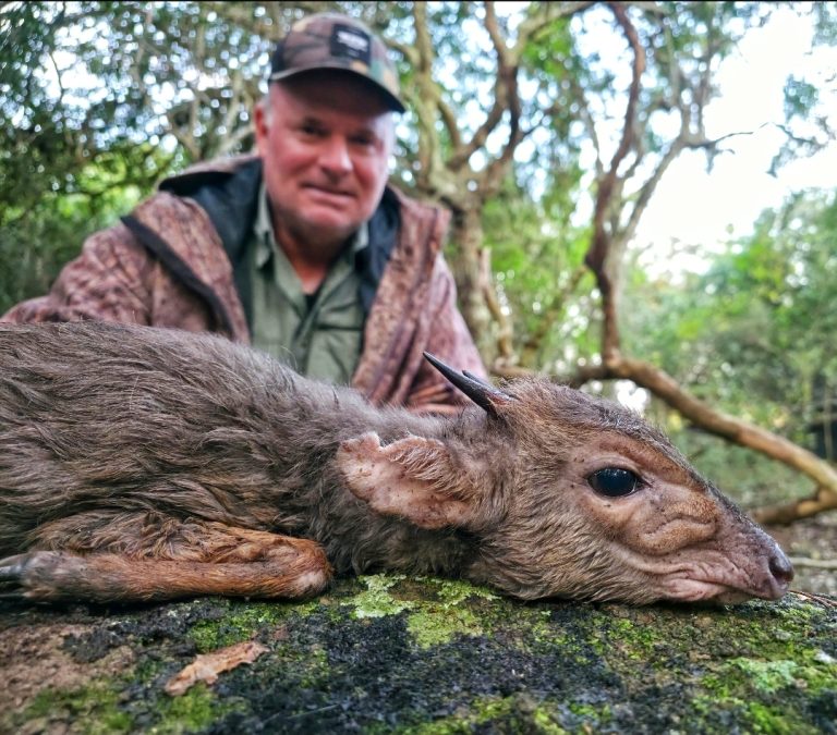 Screenshot 20251021 171348 Gallery 768x675