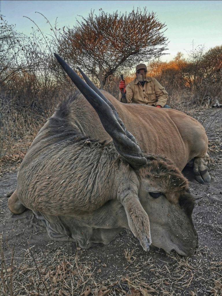 Screenshot 20251029 173533 Gallery 768x1025