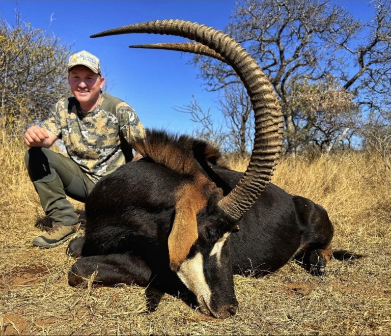 Screenshot 20251103 173413 Gallery 768x660