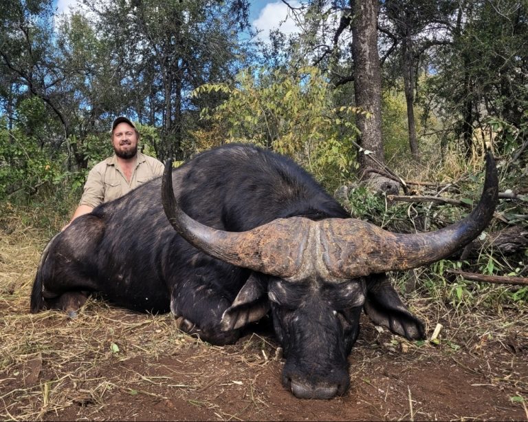 Screenshot 20251104 123054 Gallery 768x613