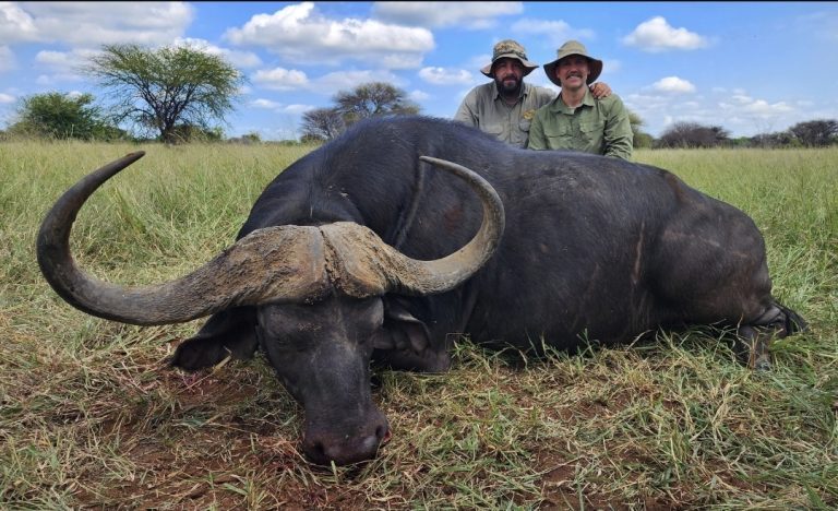 Screenshot 20251104 123217 Gallery 768x468