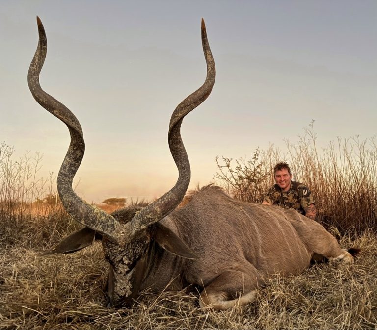 Screenshot 20251104 134042 Gallery 768x673