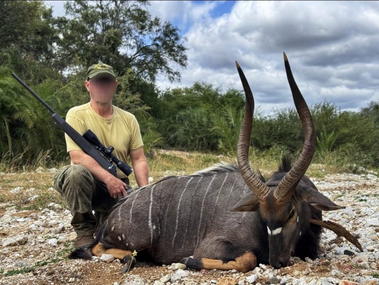 Screenshot 20251104 134144 Gallery 768x577