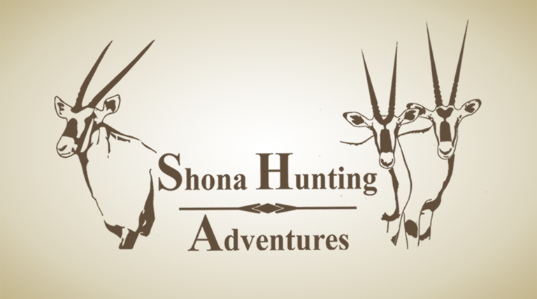 Shona Logo 768x428