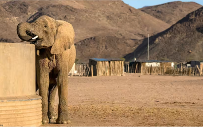 Conservation Controversies