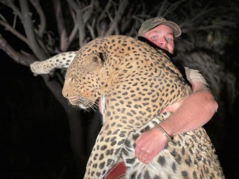 2c0ff04d 73f7 4387 909c 8e91d44dc36c 768x576