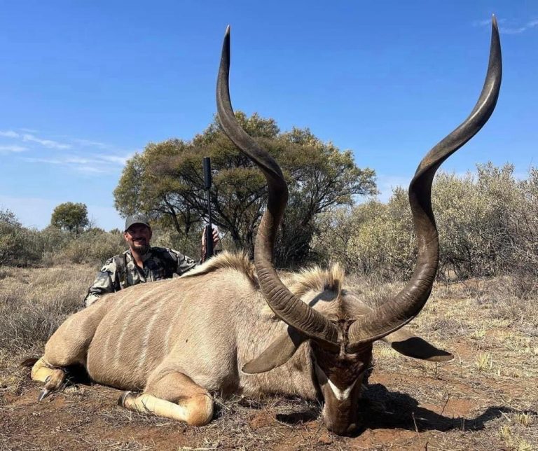 325daac4 9ca9 4580 8857 9ee475162fb8 768x644