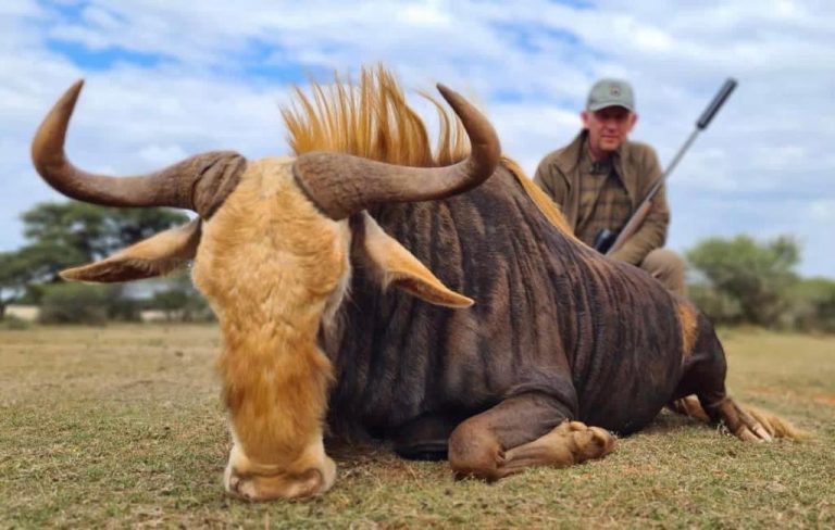 4319d555 5d86 4503 ab05 1b6fde31c49c 768x488