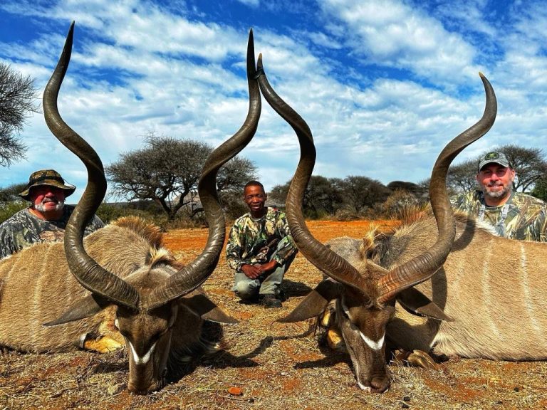 59f9c36a 89b0 486d 8a1b f6ad588504d2 768x576