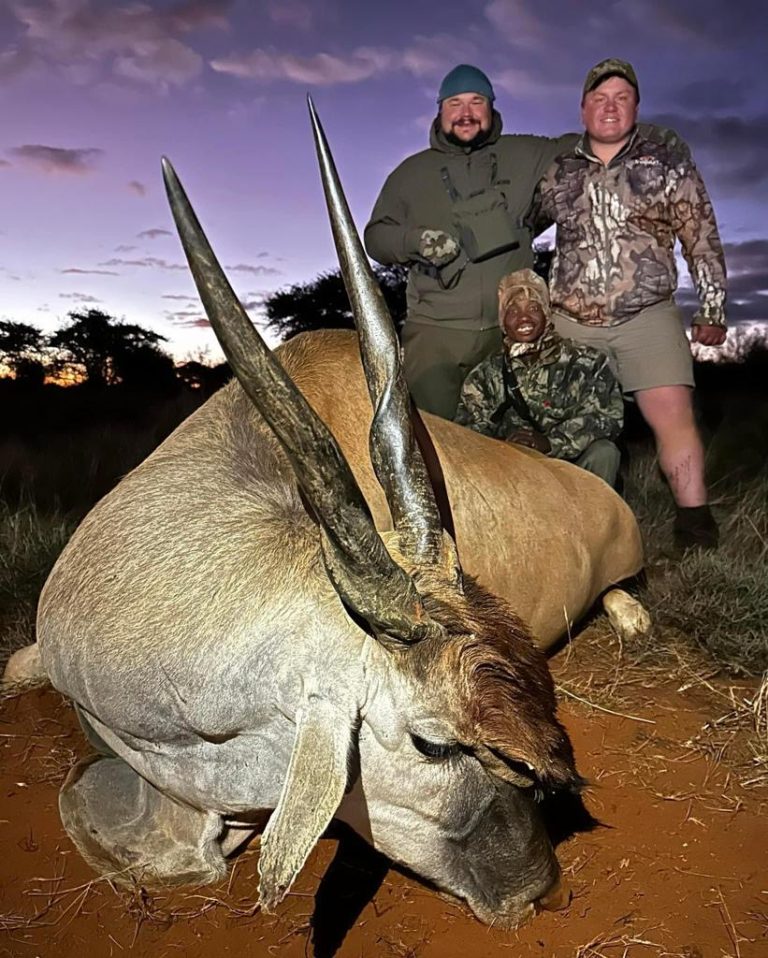 7a33773f 11a6 4104 a490 61daf517cf9d 768x958