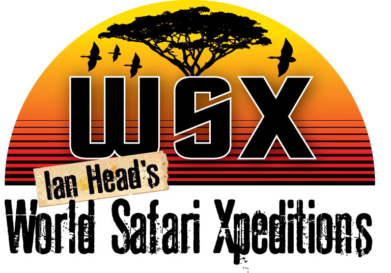Ian Heads WSX logo artwork 768x536