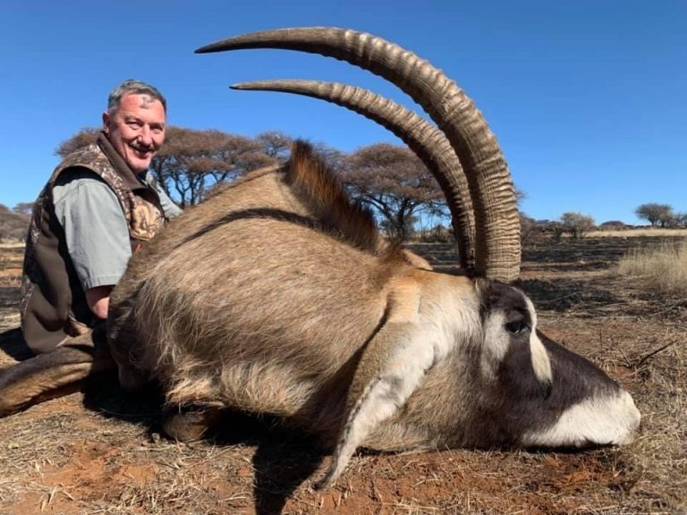 fd19cfe9 3d2e 49e1 9093 31bacf3a442b 768x576