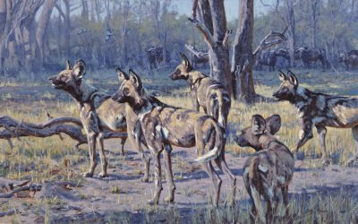 Wildlife Artist: Justin Prigmore