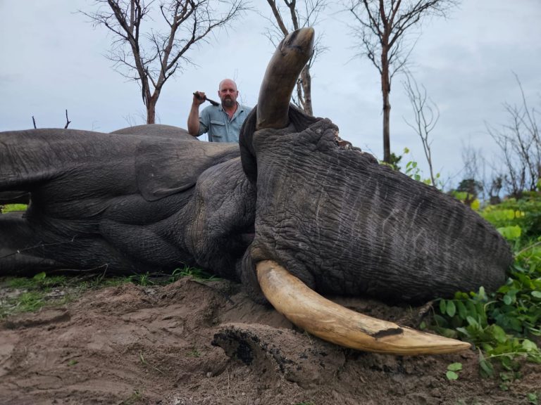 b1aa4610 298e 4d3f 80f9 0d6f295ed257 768x576