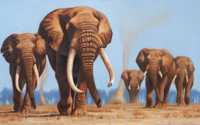 Cynthie Fisher, SCI Artist of the Year