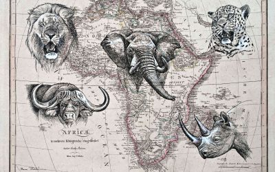 Wildlife Artist: Zoltan Boros