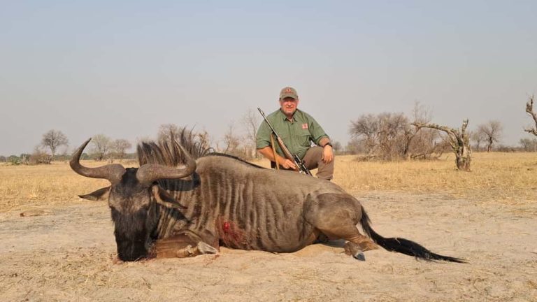 263a42d0 3979 471f a3c6 e632ba57669f 768x432