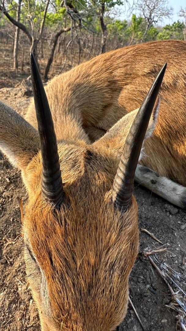 272b6903 9229 4e68 b0a7 1daeac29b369