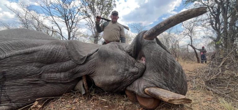 33483797 f131 4922 aedb 33fd7506896a 768x355