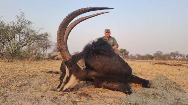 8a45afde a0eb 4d77 9f22 1f648142f634 768x432