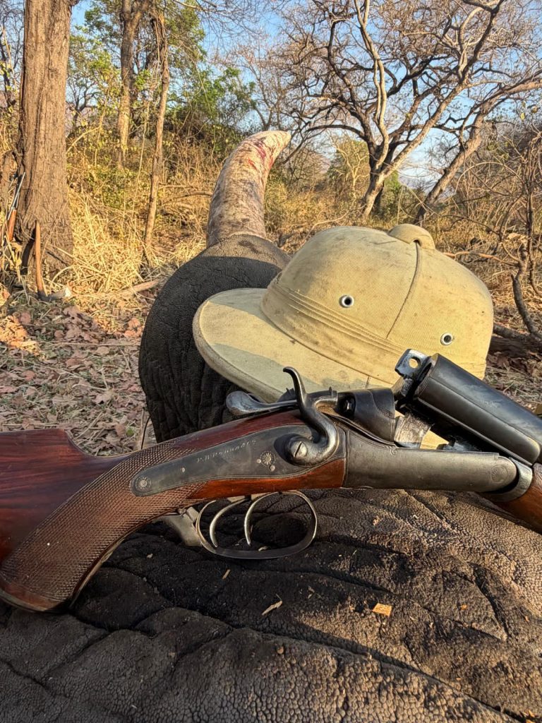 DOUBLE PITH ELEPHANT 768x1024