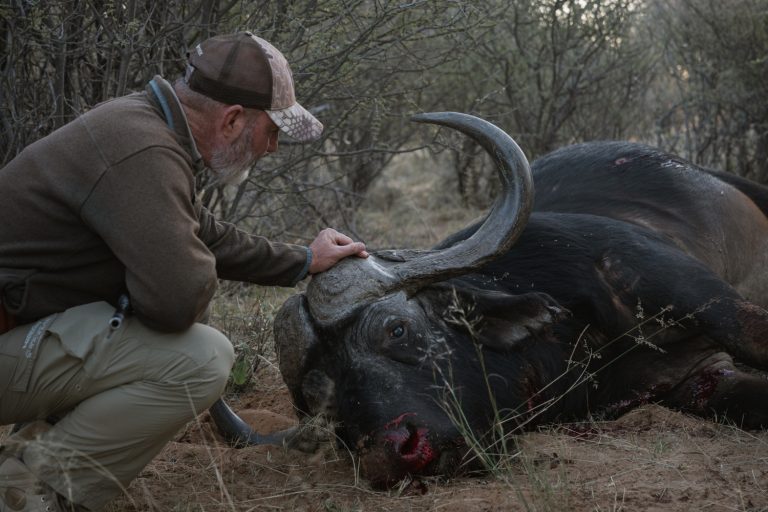 Harbier SP 93 768x512