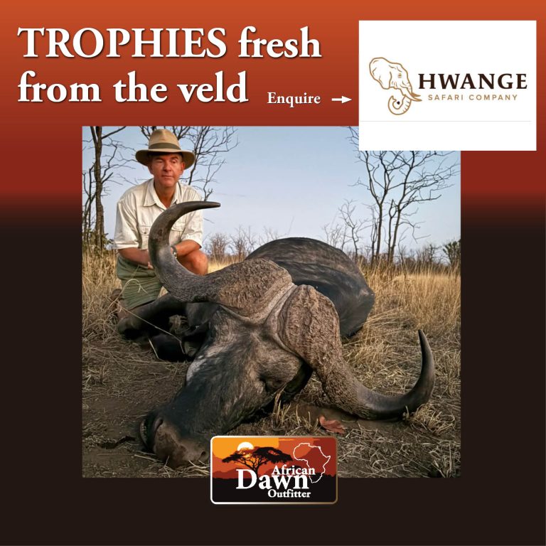 Hvanga Safaris1 768x768