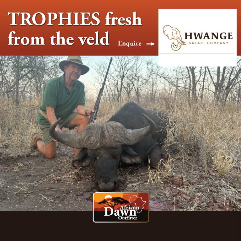 Hvanga Safaris2 768x768