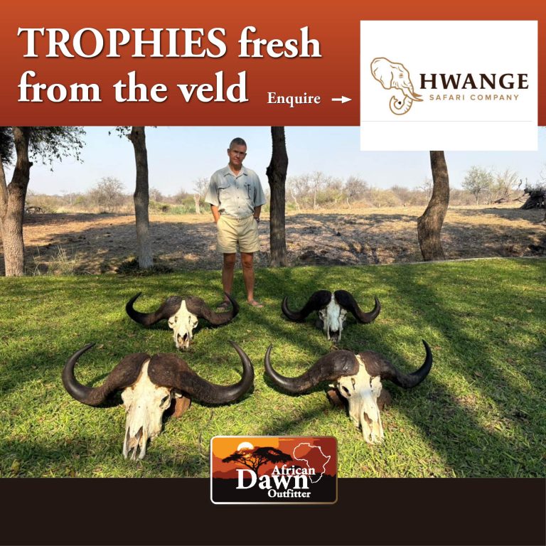 Hvanga Safaris3 768x768
