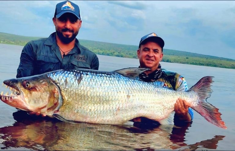 IMG 20251029 WA0024 768x493