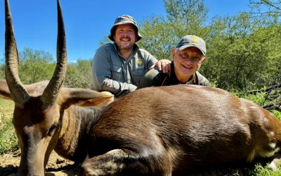 That’s Bushbuck Hunting For You