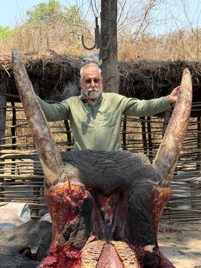 MARTIN SKULL 768x1024