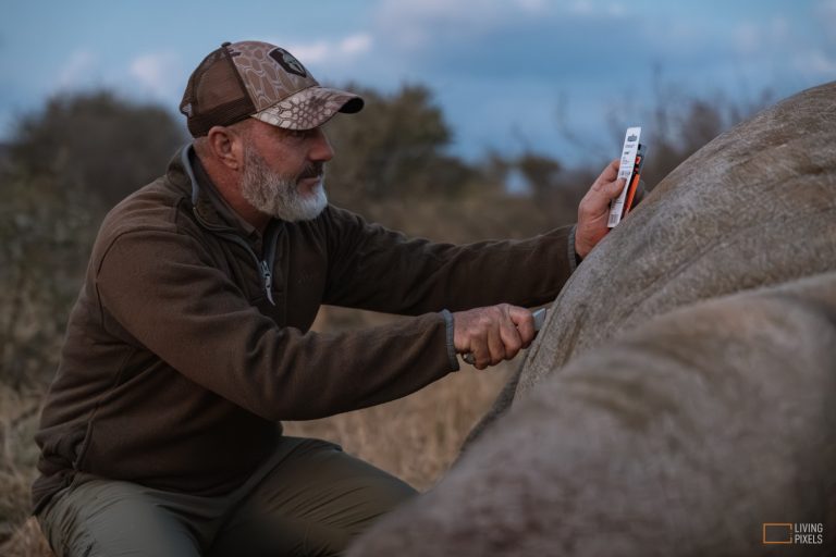 Mike McGinnis 112 768x512