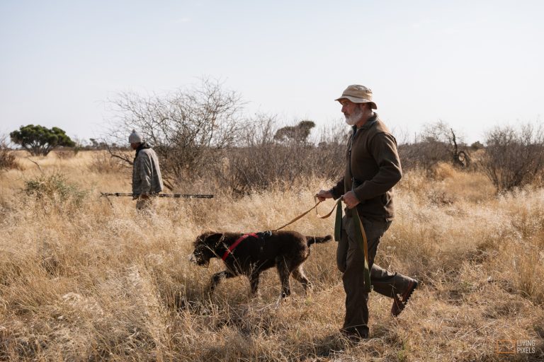 Mike McGinnis 250 768x512