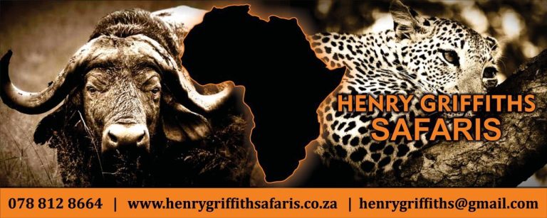 PHOTO 2025 12 08 13 48 38 768x307