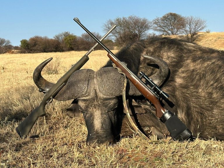 PHOTO 2026 01 20 13 23 073 768x576