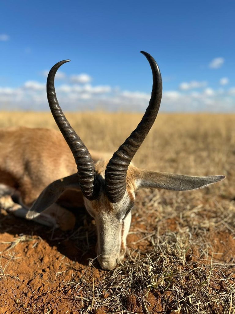 PHOTO 2026 01 20 13 23 08 768x1024