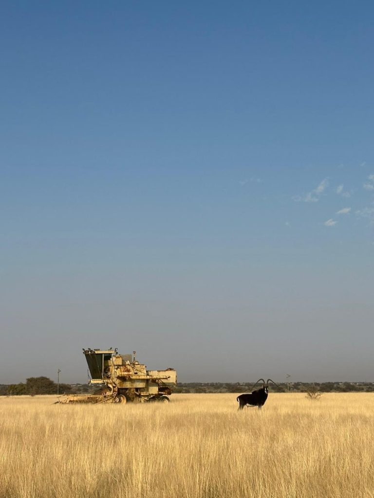 PHOTO 2026 01 20 13 23 09 768x1024