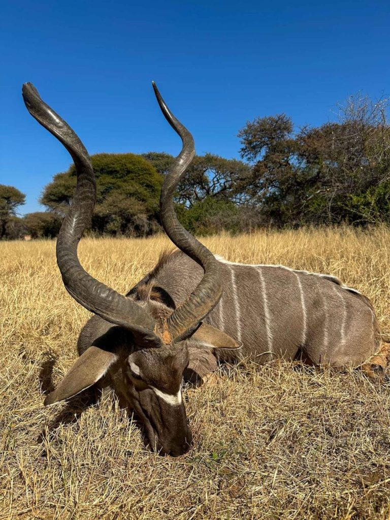 PHOTO 2026 01 20 13 23 091 768x1024