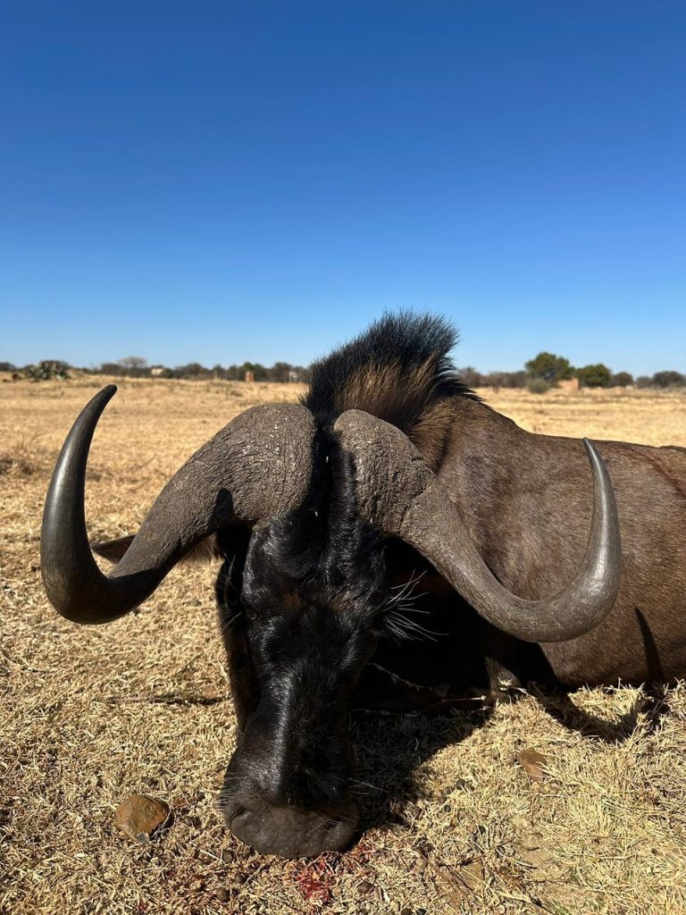 PHOTO 2026 01 20 13 23 101 768x1024