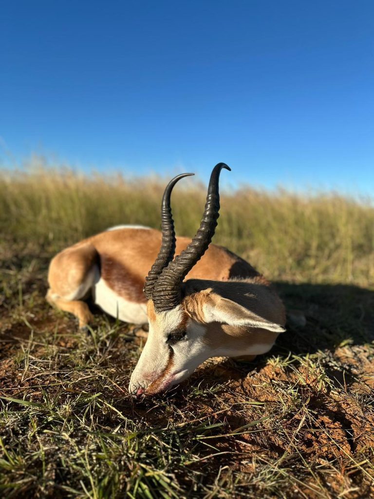 PHOTO 2026 01 20 13 23 11 768x1024